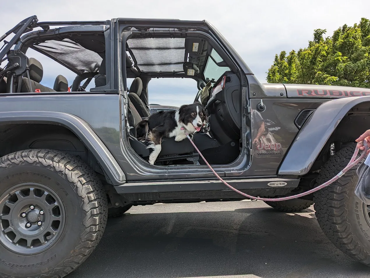 Dogs in Cars and Jeeps: Safety Tips and Adventures
