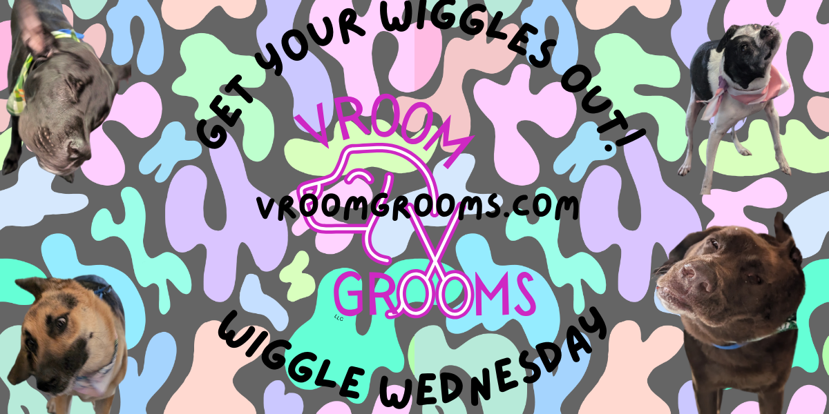 Get your wiggles out with Wiggle Wednesday!💃🕺