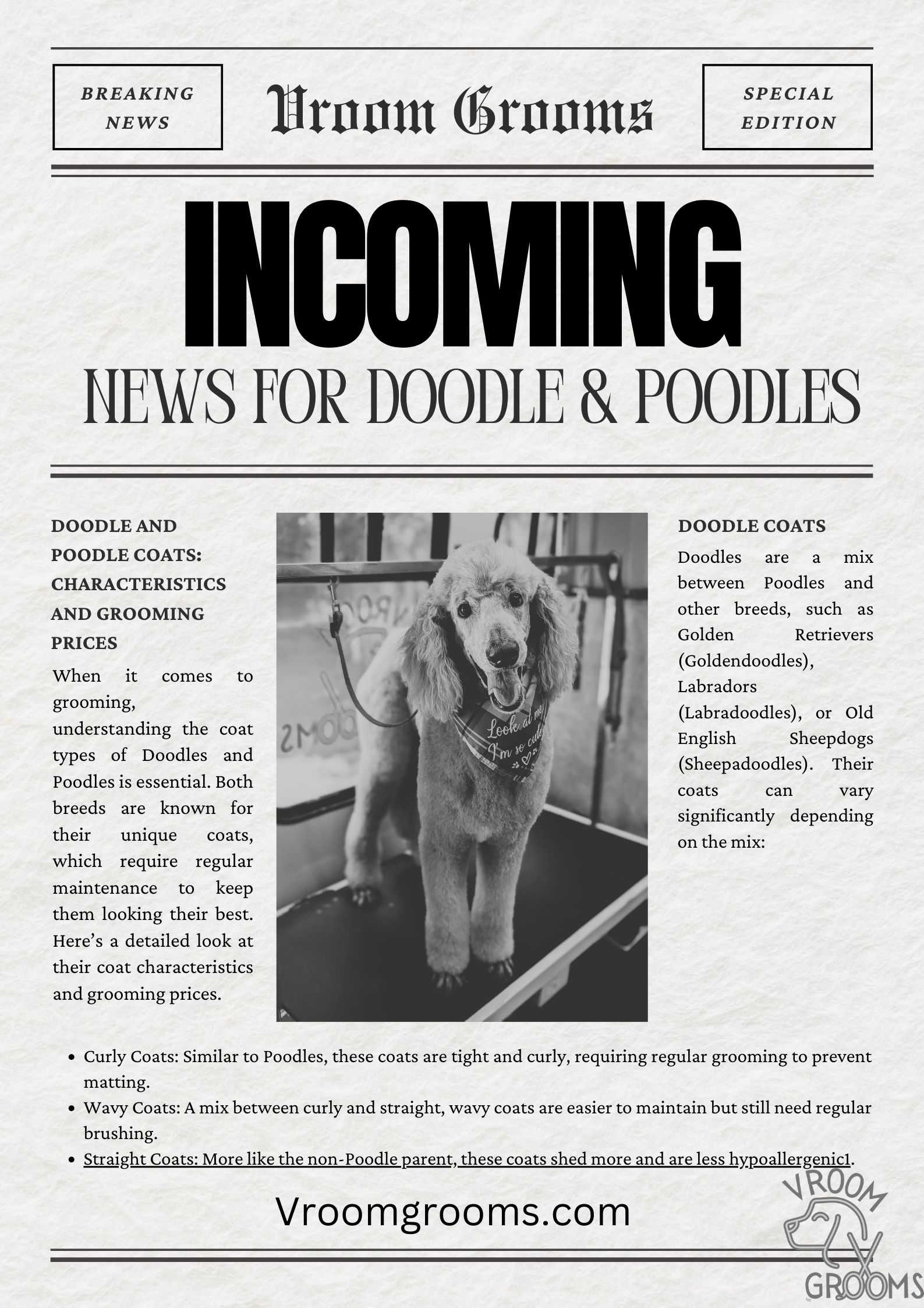 Doodle and Poodle Coats: Characteristics and Grooming Prices
