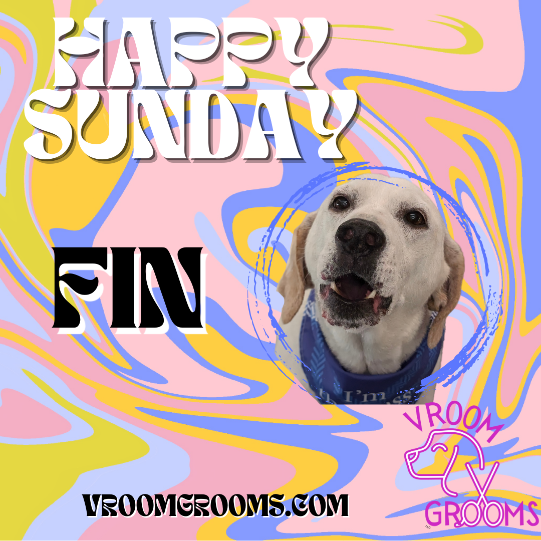 HAPPY SUNDAY!