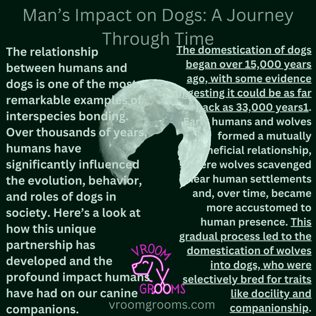 Man’s Impact on Dogs: A Journey Through Time