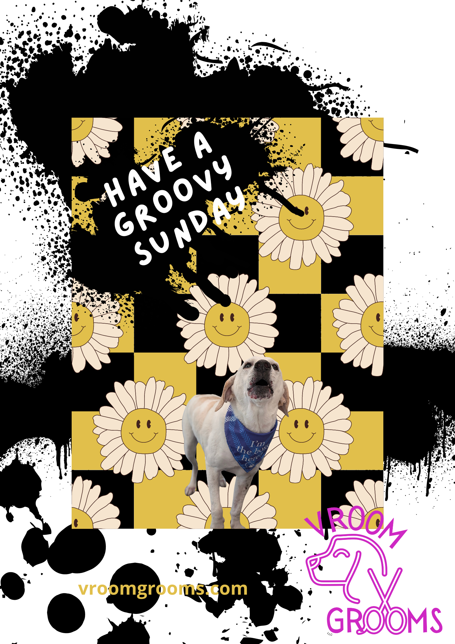 HAVE A GROOVY SUNDAY!
