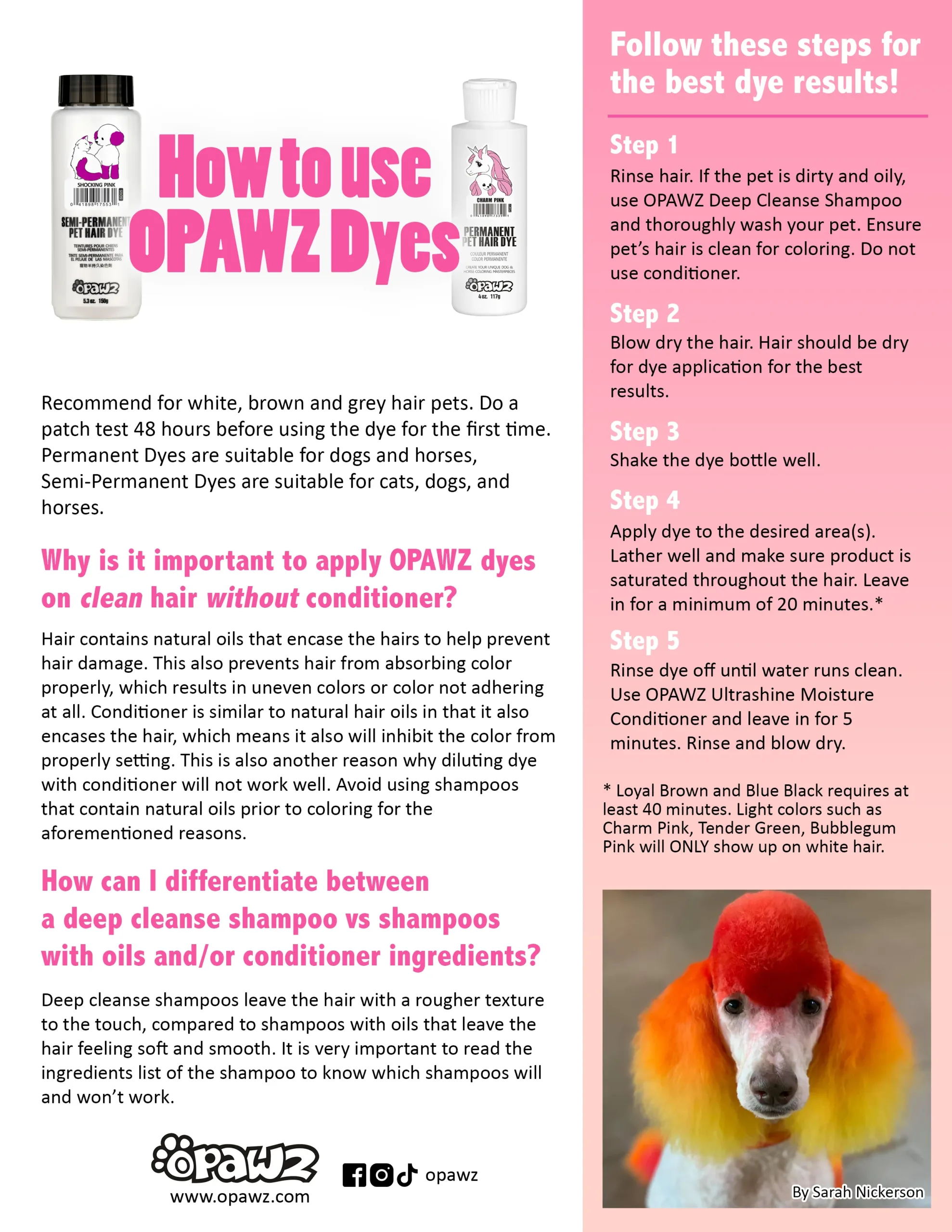 Unleash Your Dog’s Inner Fashionista with OPAWZ Dog Hair Dye!