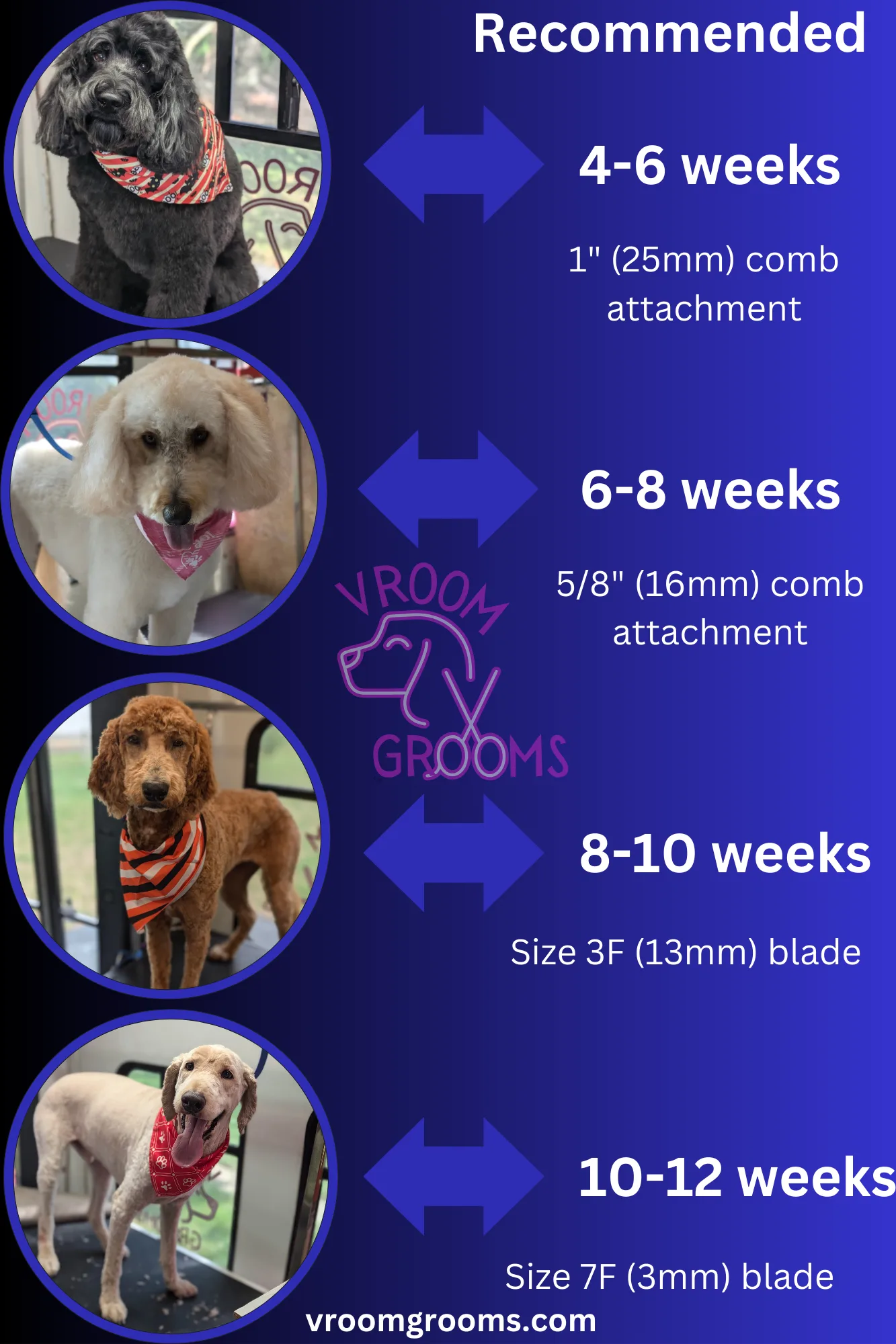 Here is our recommendation for your dog’s coat length VS. booking