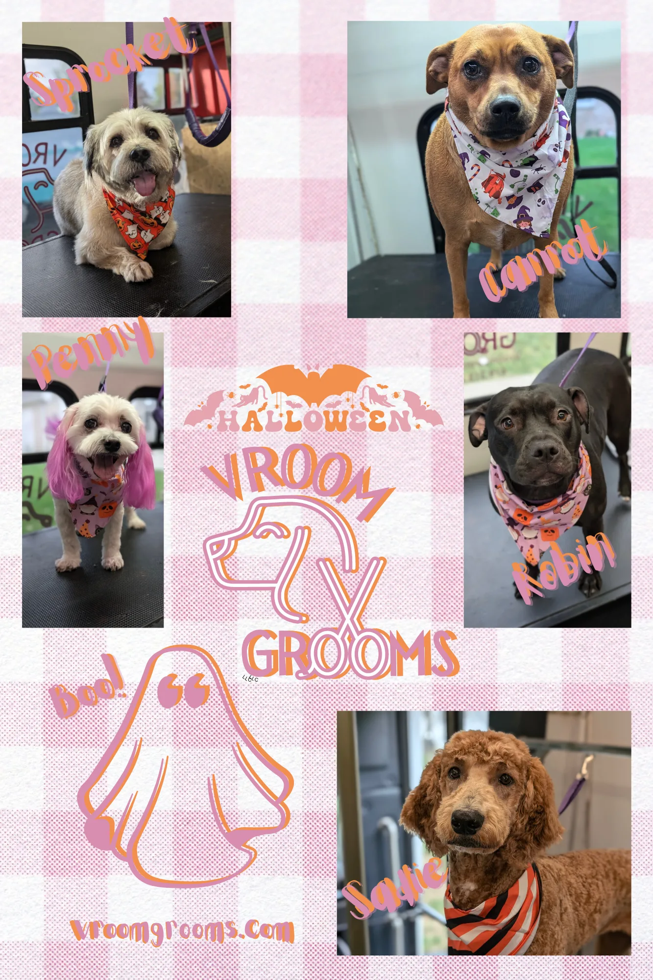 Dogs of the day!🩷🐾