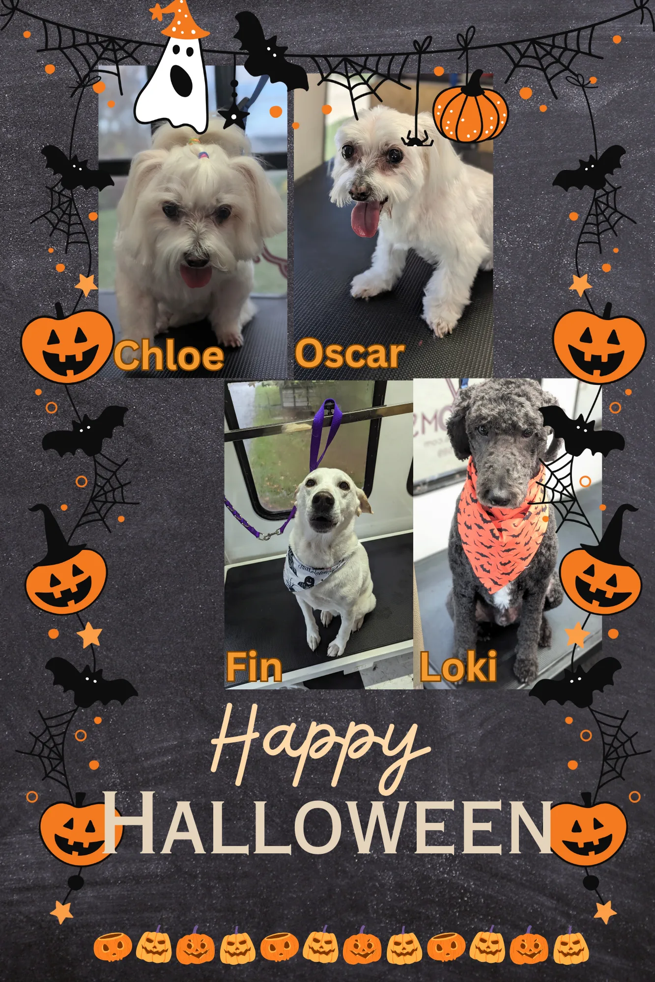 Dogs of the day!🐾🎃🩷