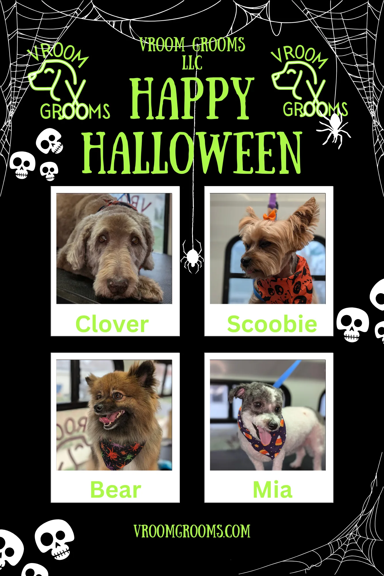 Dogs of the day!🩷🐾🎃