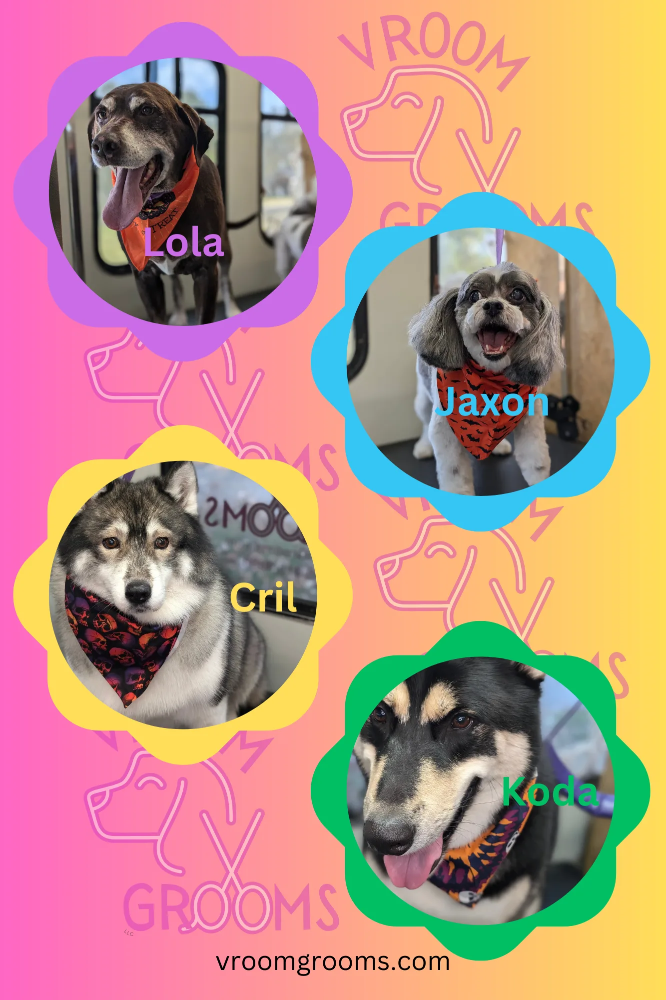 Dogs of the day!🎃🩷🐾