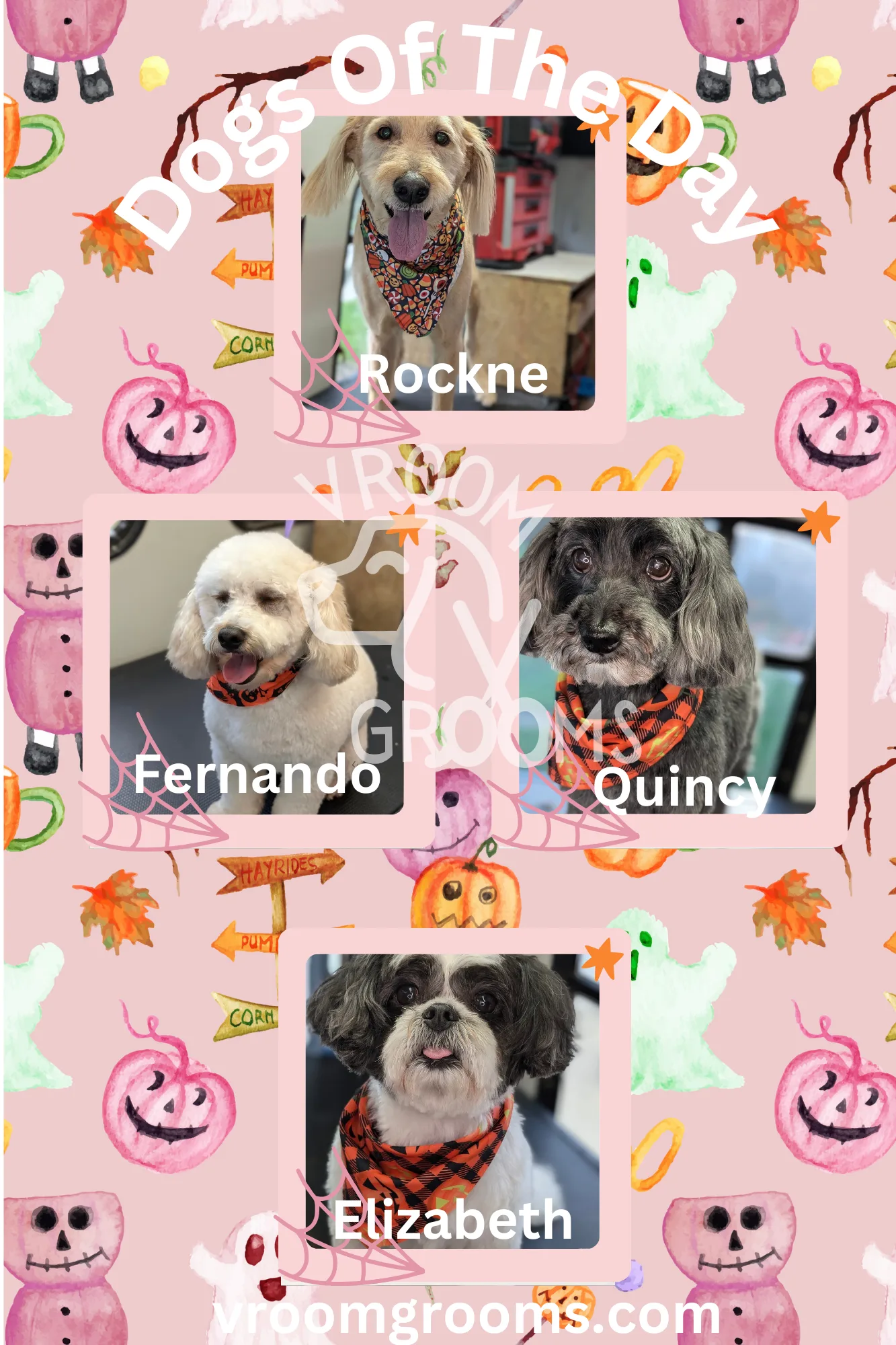 Dogs Of The Day!🩷🐾