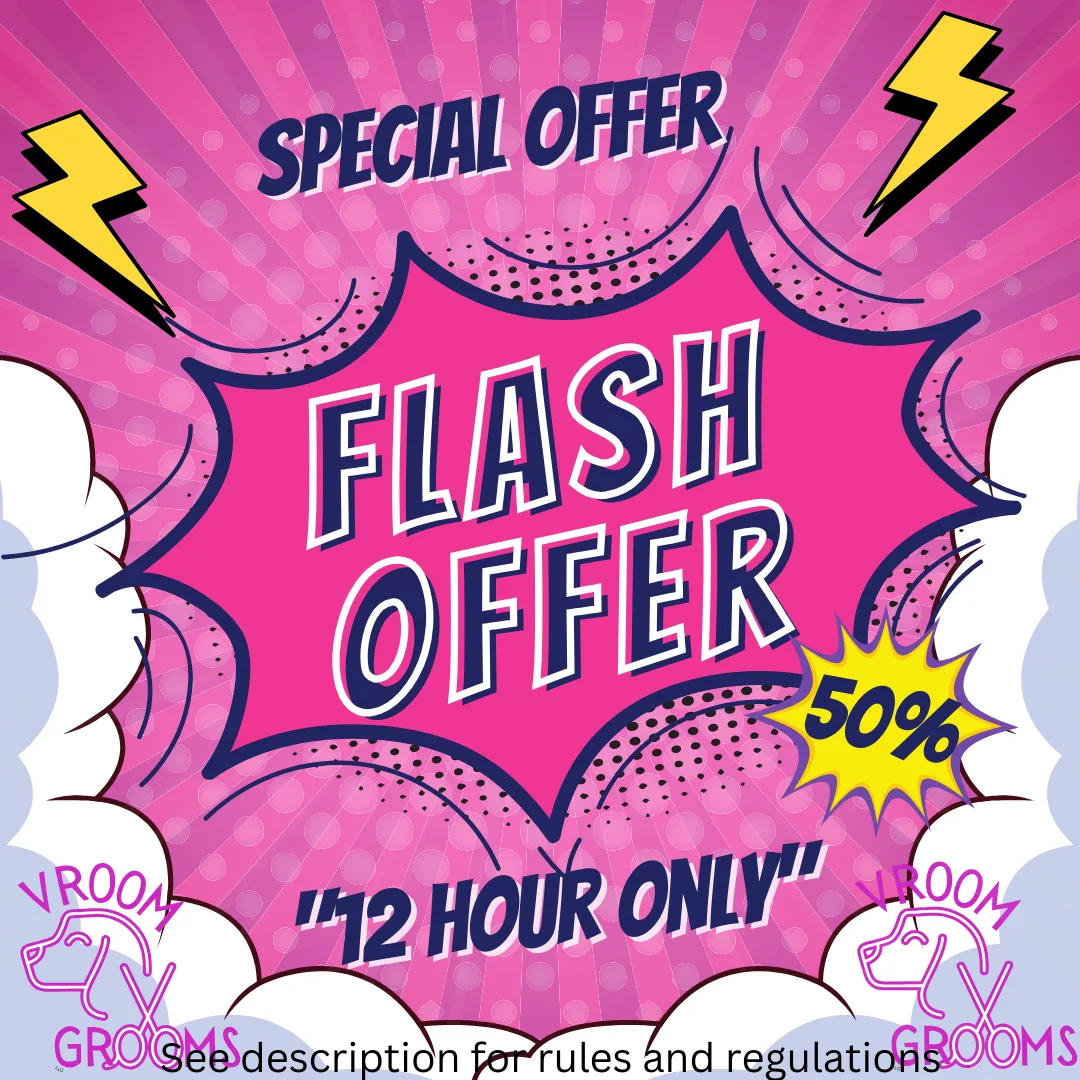 Special Offer
