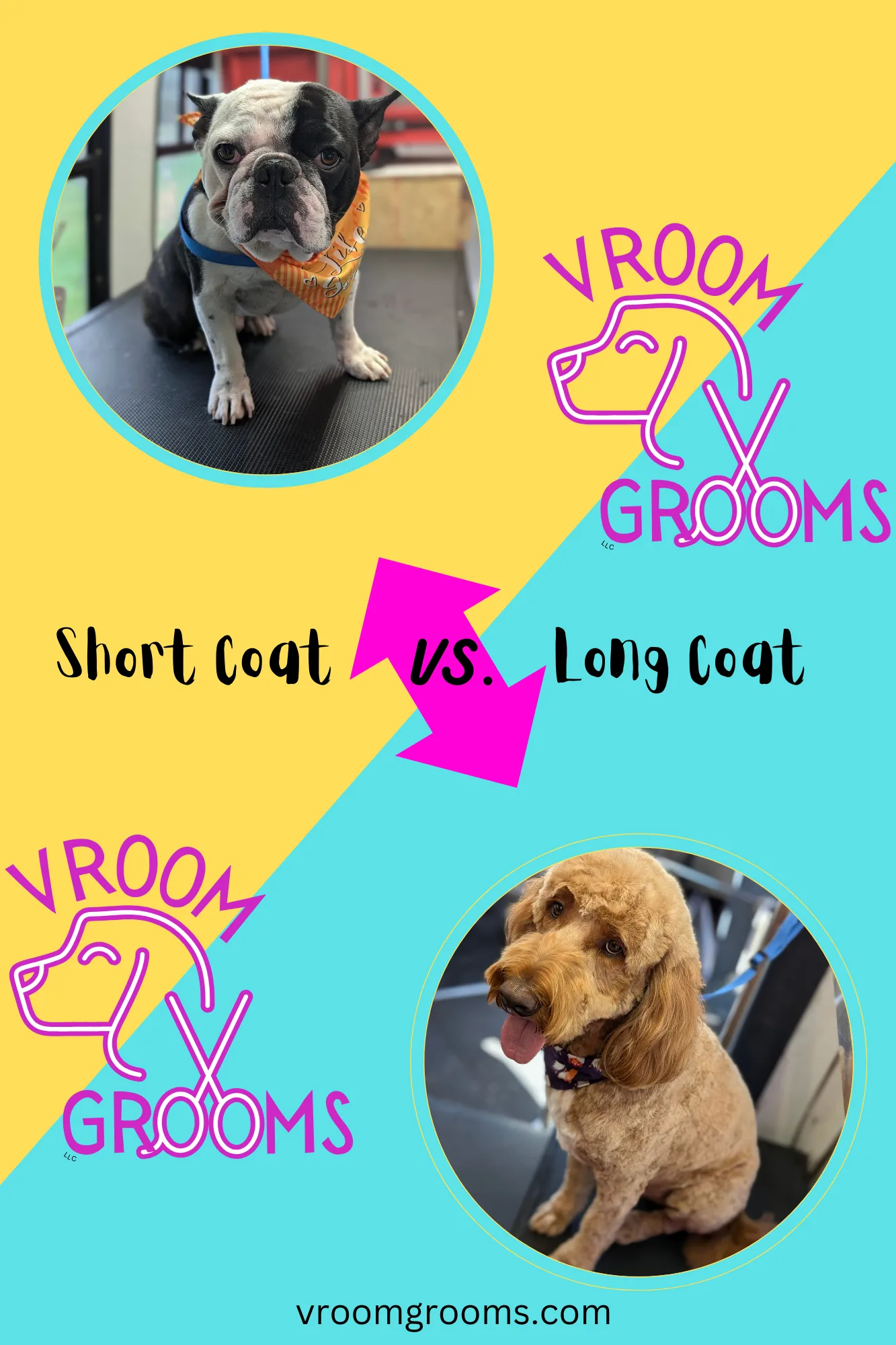 Why Your Long-Coated Dog Needs More Frequent Grooming Appointments