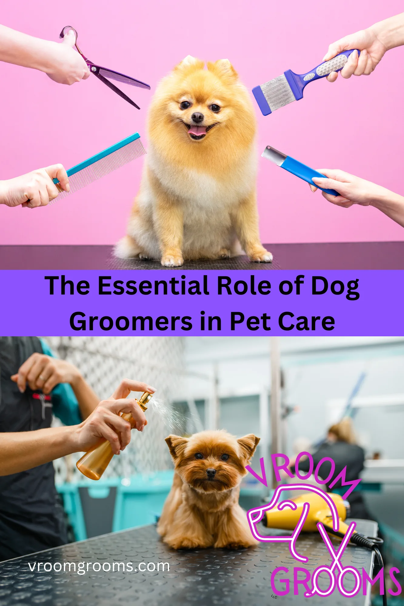 The Essential Role of Dog Groomers in Pet Care