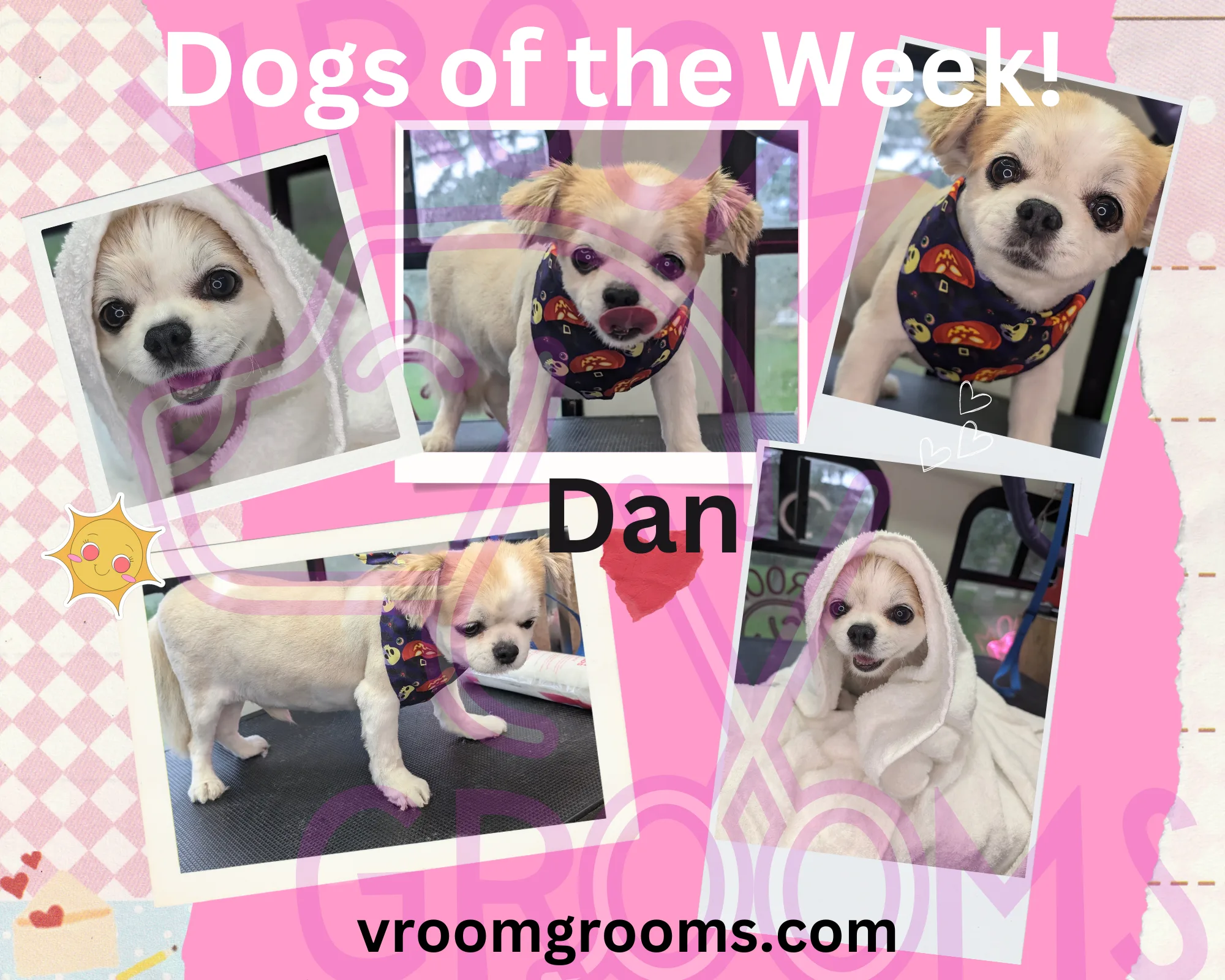 DOGS OF THE WEEK!🐾🩷