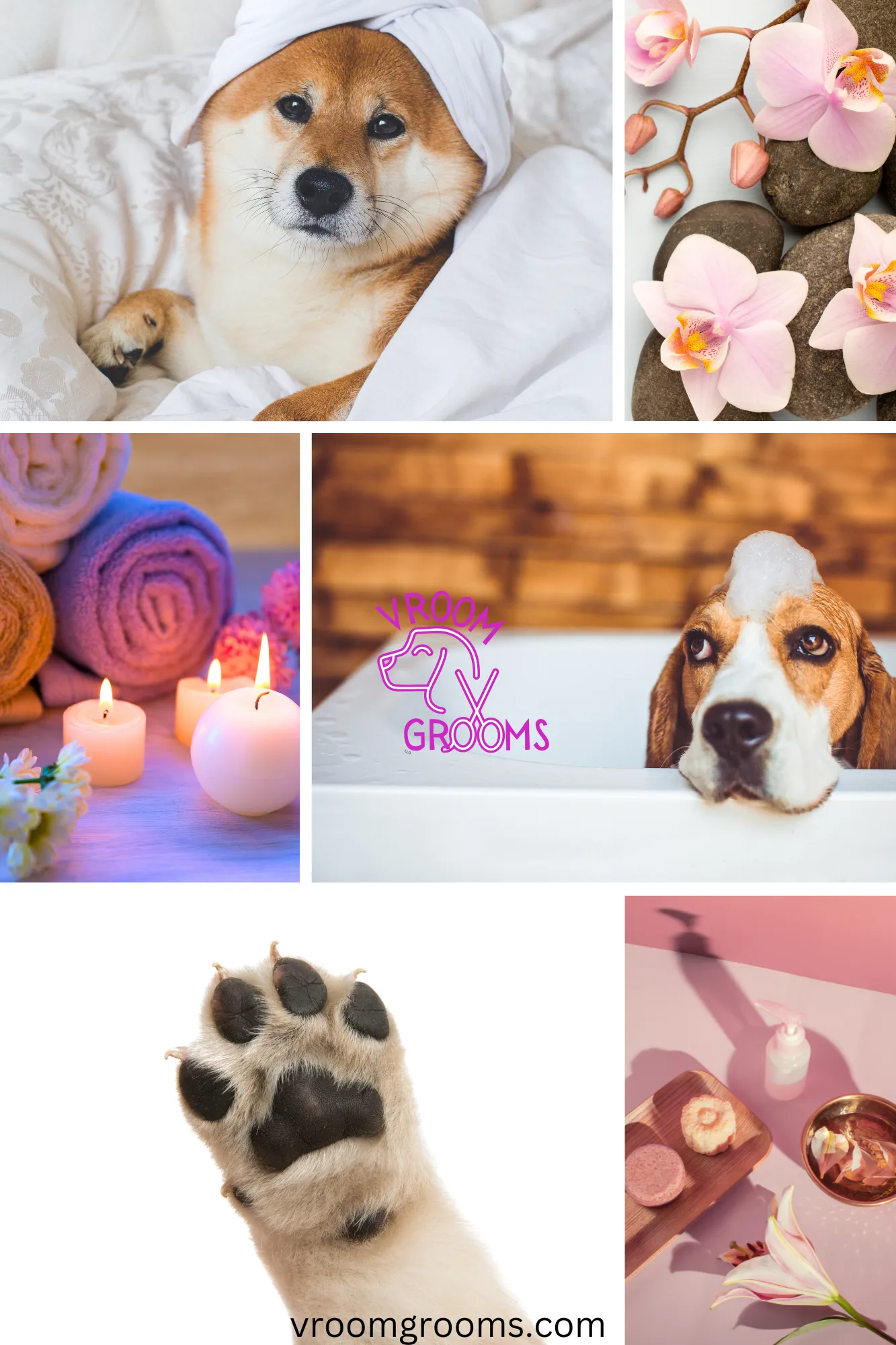 Understanding Brittle Dog Nails Causes, Symptoms, and Prevention Vroom