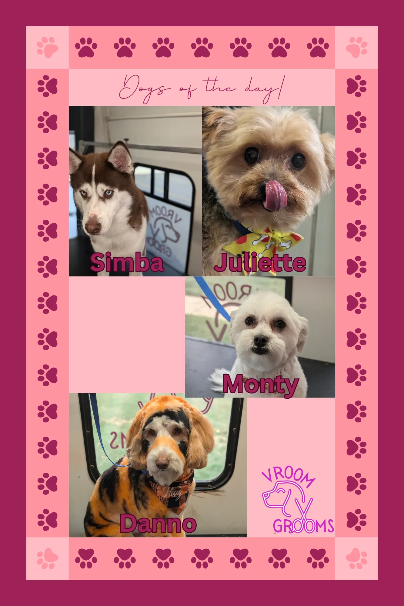 Dogs of the day!🐾🩷🍂