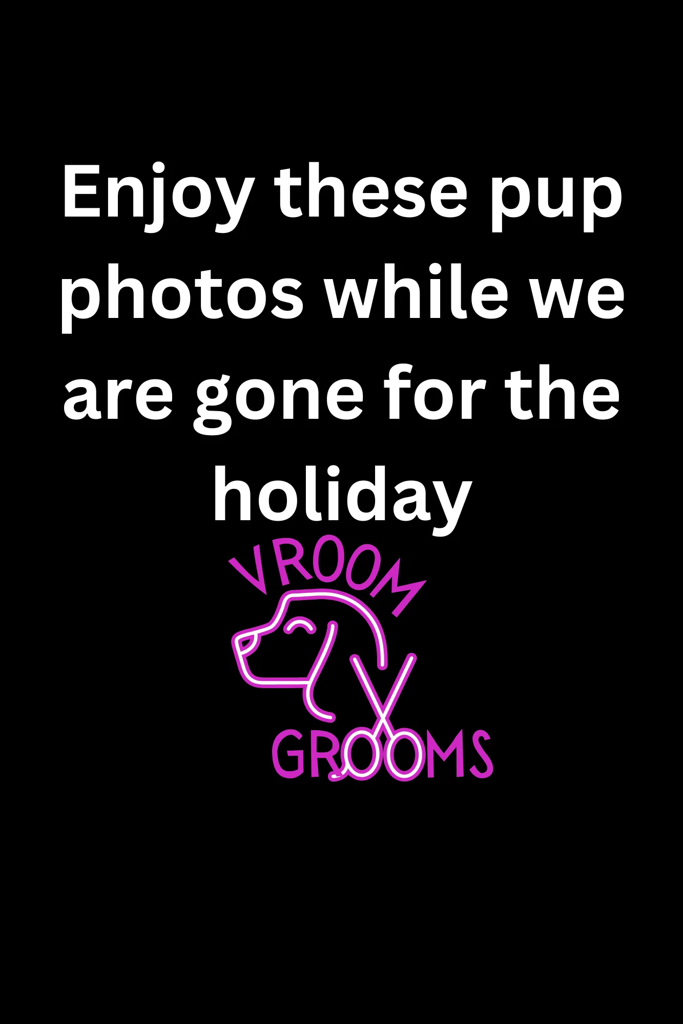 Enjoy these pup photos while we are gone for the holiday!