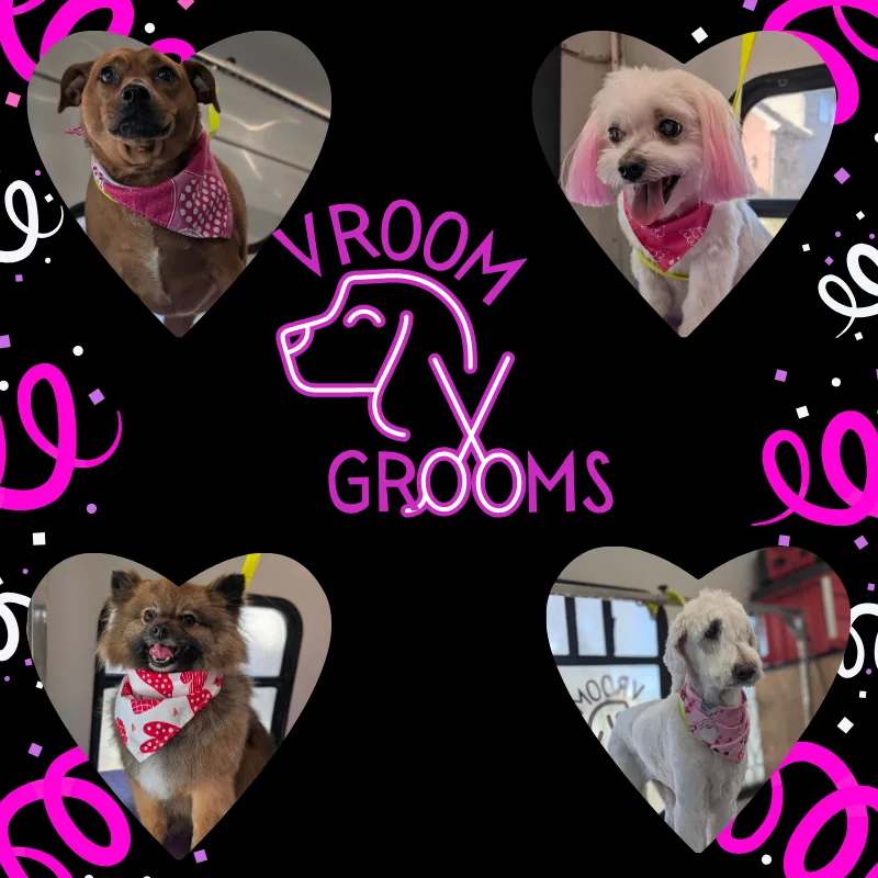 Dogs of the day! 🐾🩷🐶1/27/2025