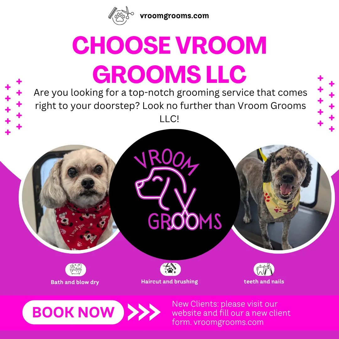 🚐🐾 Choose Vroom Grooms LLC for Your Pet’s Next Grooming Service! 🐾🚐