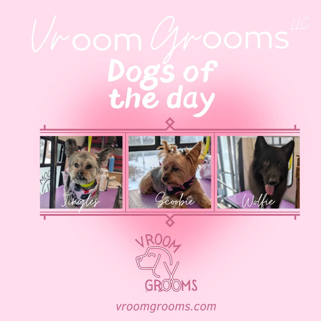 Dogs of the day! 🐾🩷🐶1/23/2025
