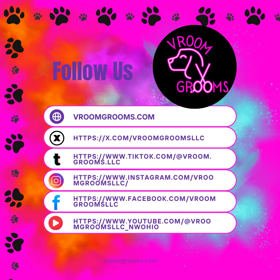 🐾 Stay Connected with Vroom Grooms LLC! 🐾