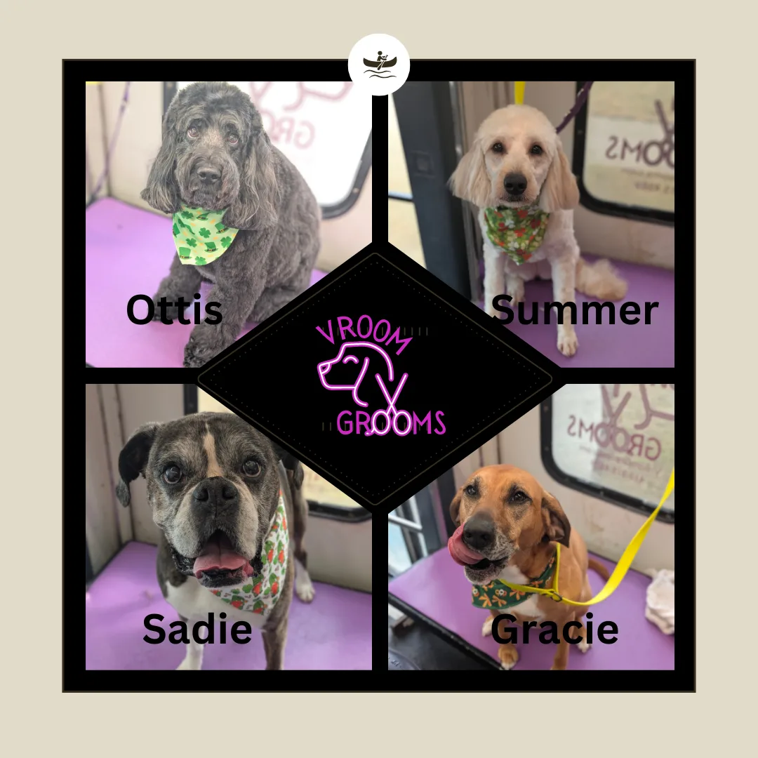 Dogs of the day! 🐾🩷🍀2/27/2025