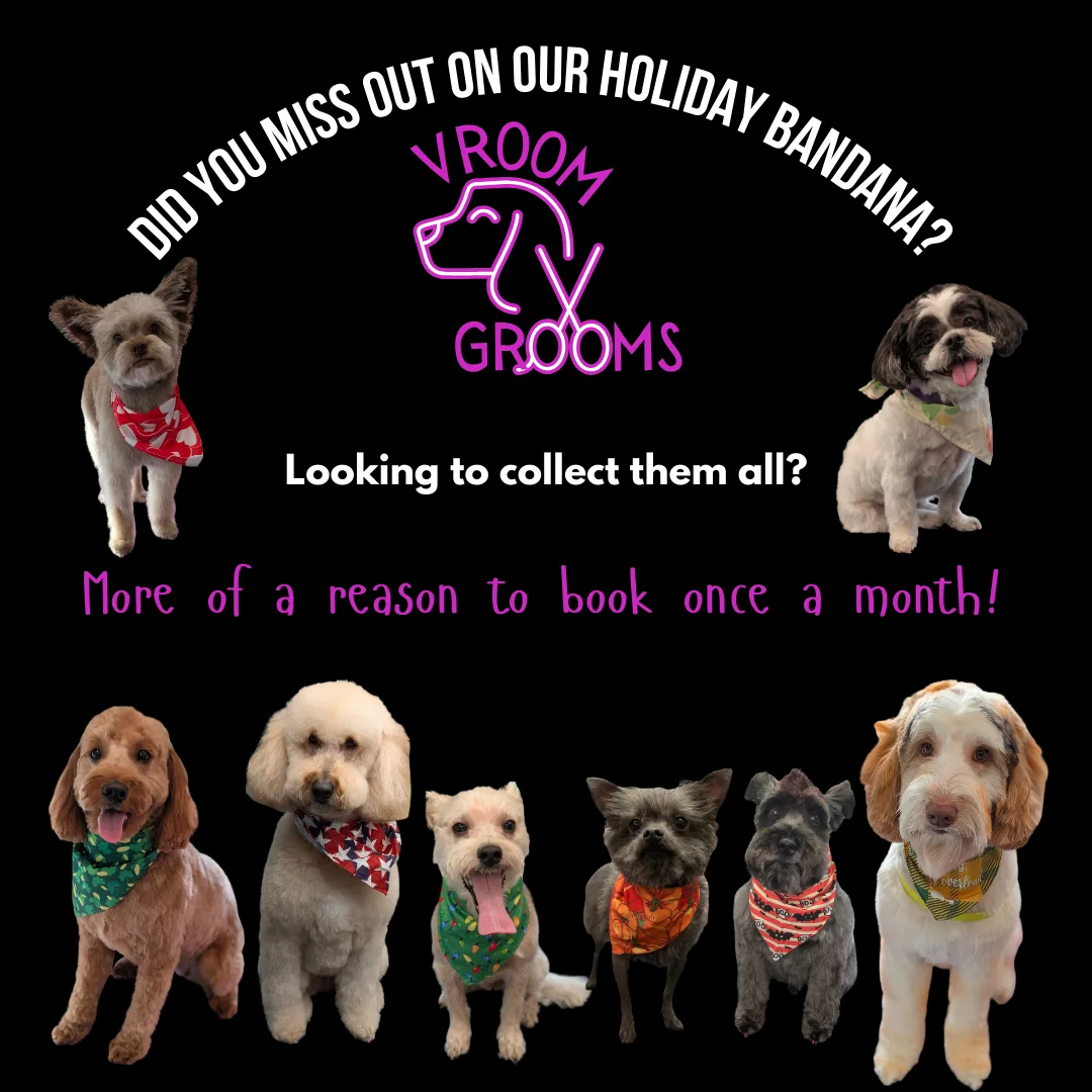 🌟 Monthly Grooming with a Seasonal Surprise! 🌟