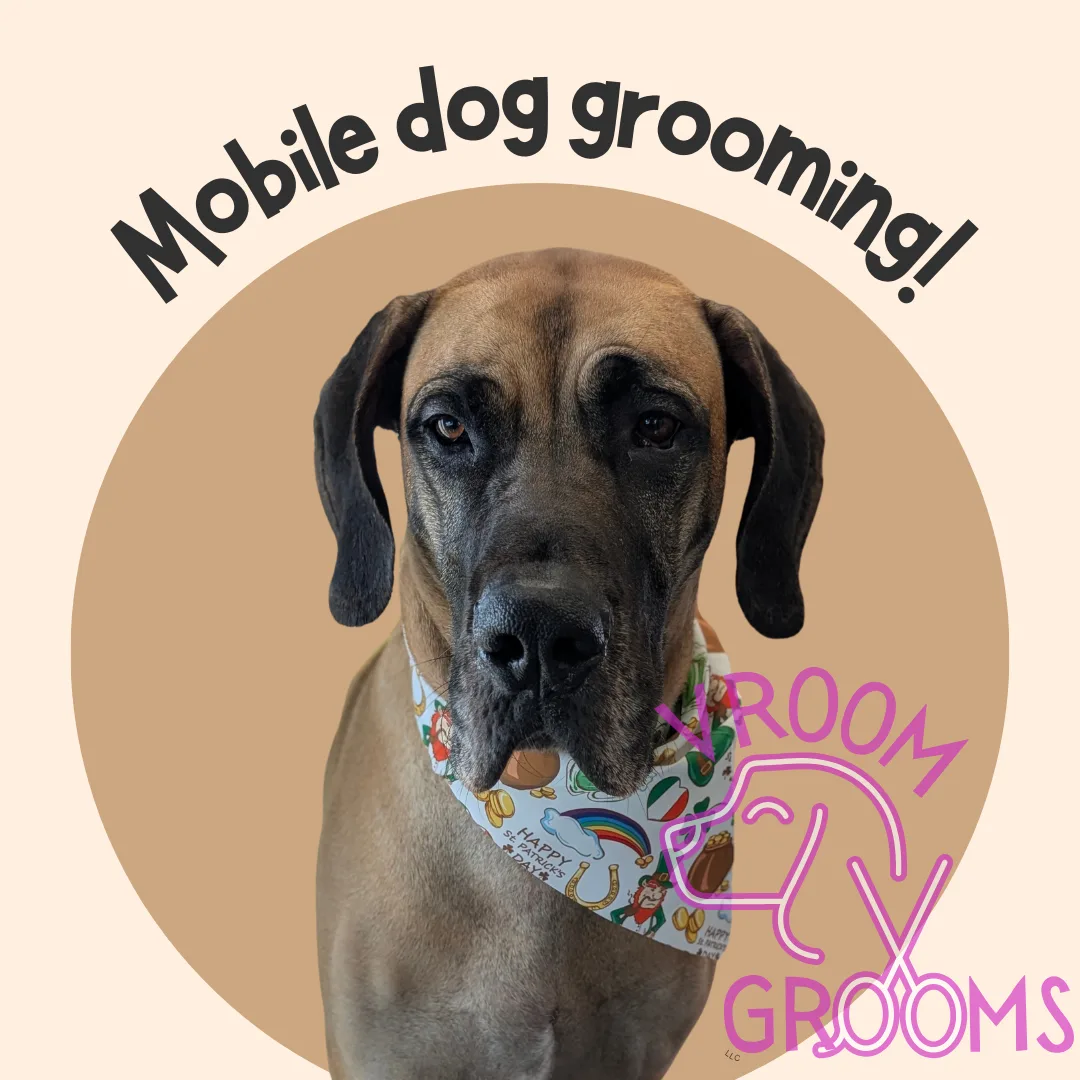 🎉🐶 Vroom Grooms LLC – It’s Paw-ty Time! 🐾🚐
