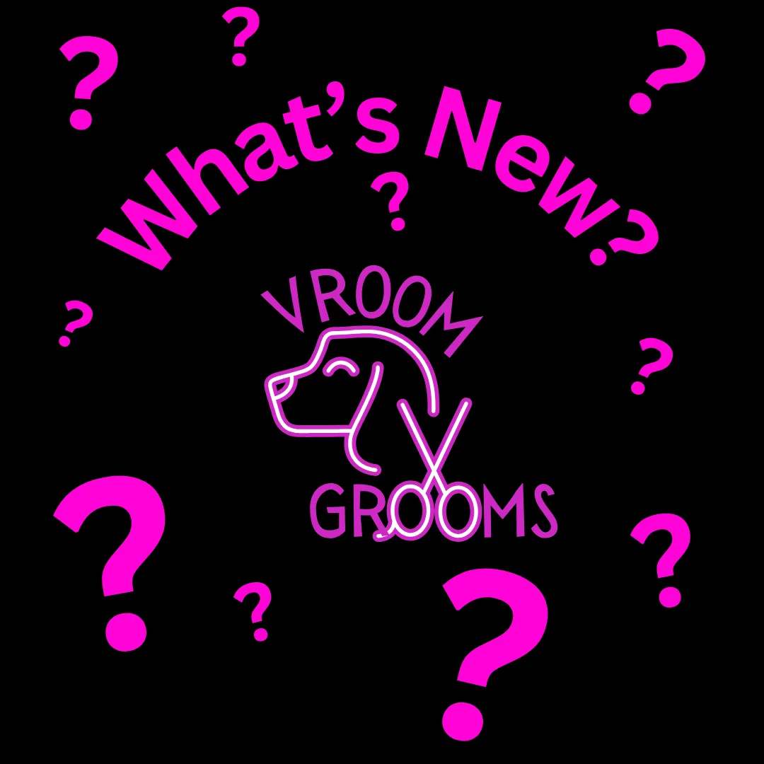 🐾 Important Update from Vroom Grooms LLC 🐾