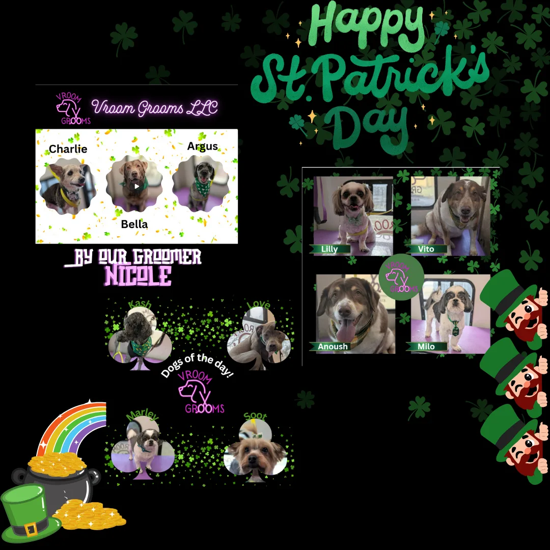 Happy St. Patrick’s Day from Vroom Grooms LLC!