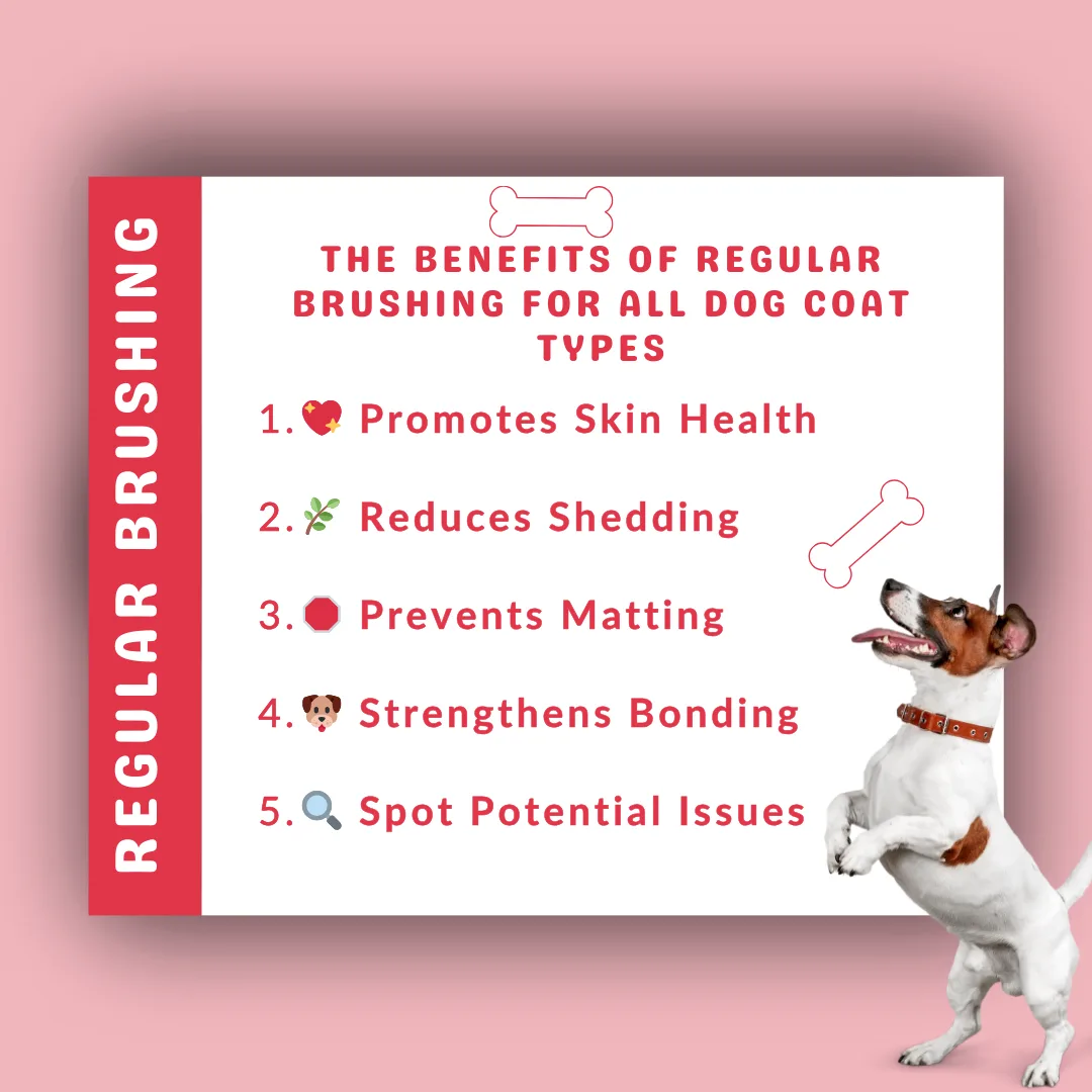 🐾✨ The Benefits of Regular Brushing for All Dog Coat Types ✨🐾