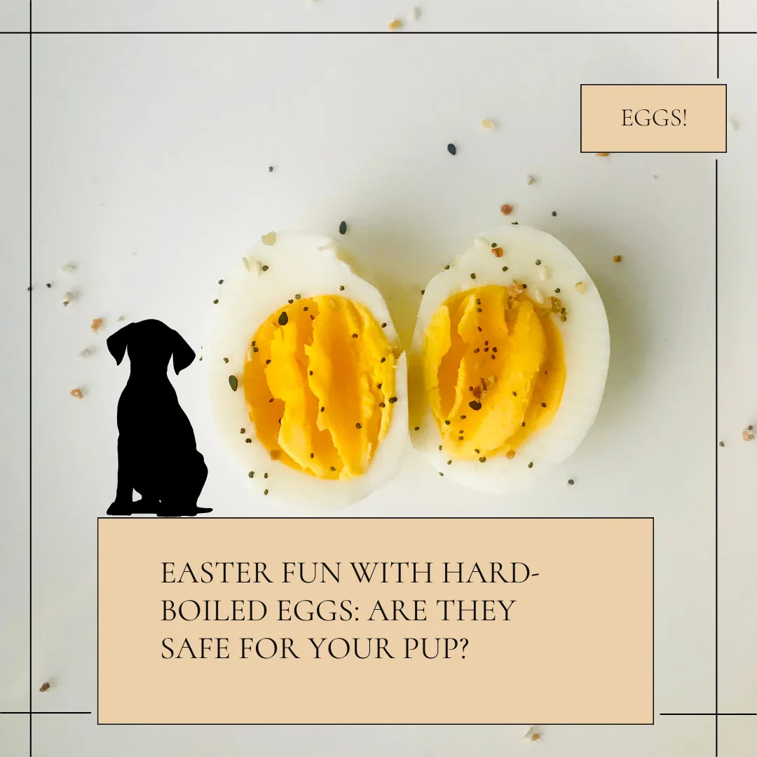 🐾🥚 Easter Fun with Hard-Boiled Eggs: Are They Safe for Your Pup? 🥚🐾