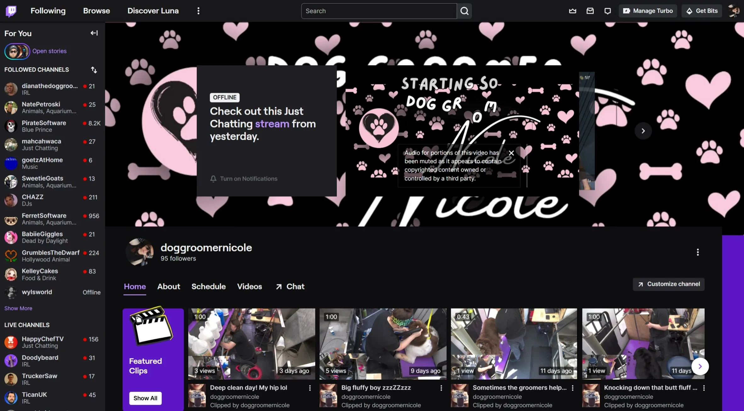🐾 Stop By Doggroomernicole’s Twitch—You Don’t Want to Miss This! 🐾