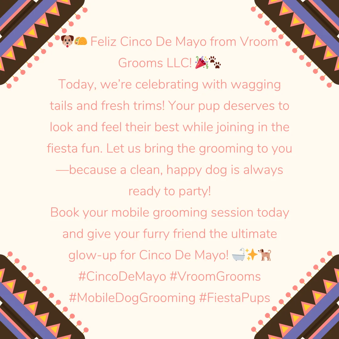 🐶🌮 Feliz Cinco De Mayo from Vroom Grooms LLC! 🎉🐾