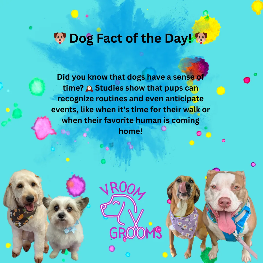 🐶 Dog Fact of the Day! 🐶