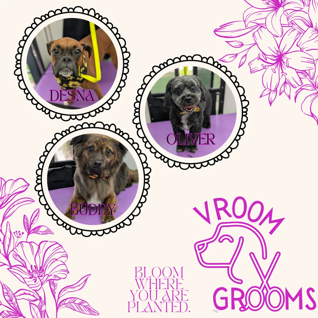 Dogs of the day! 🐾🩷🐶🌷 5/2/2025
