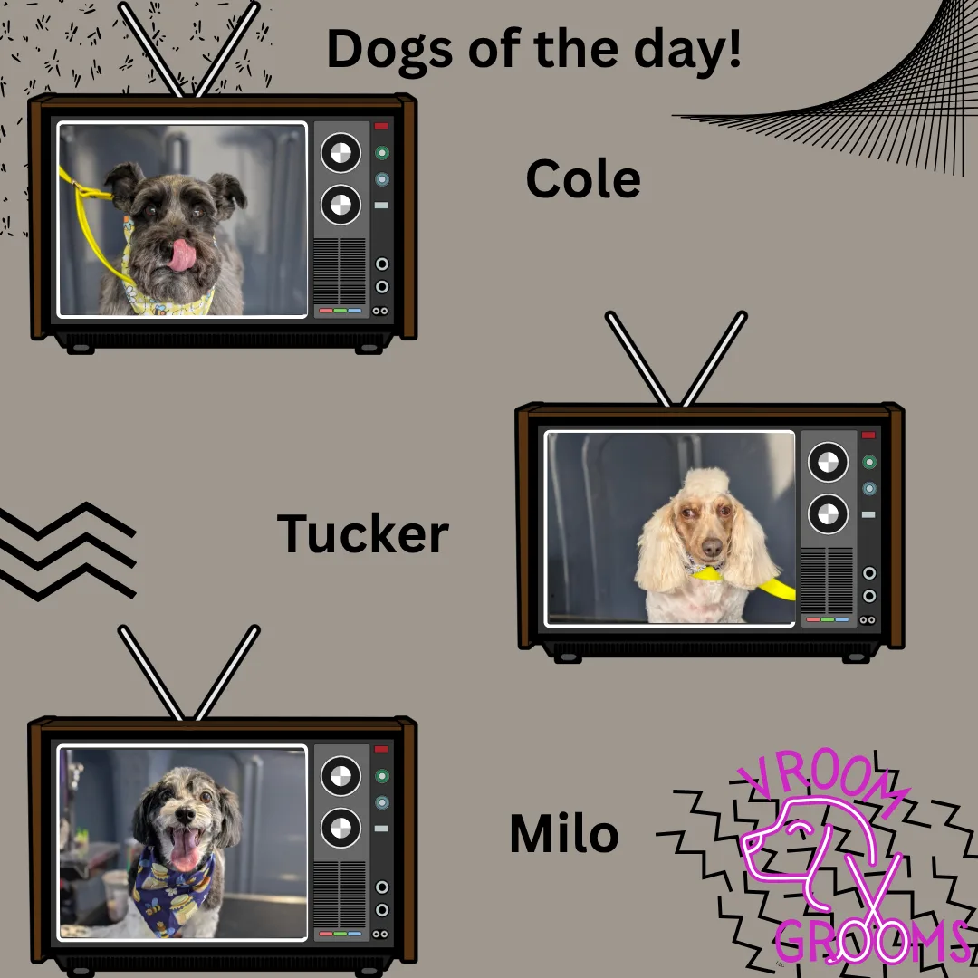 Dogs of the day! 📸🐾🐶 5/30/2025