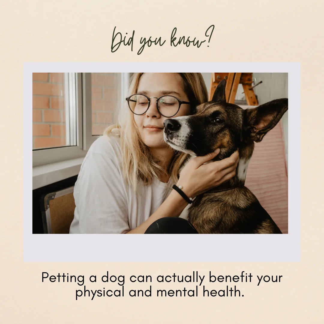 🐾🐶Did you know?🐶🐾