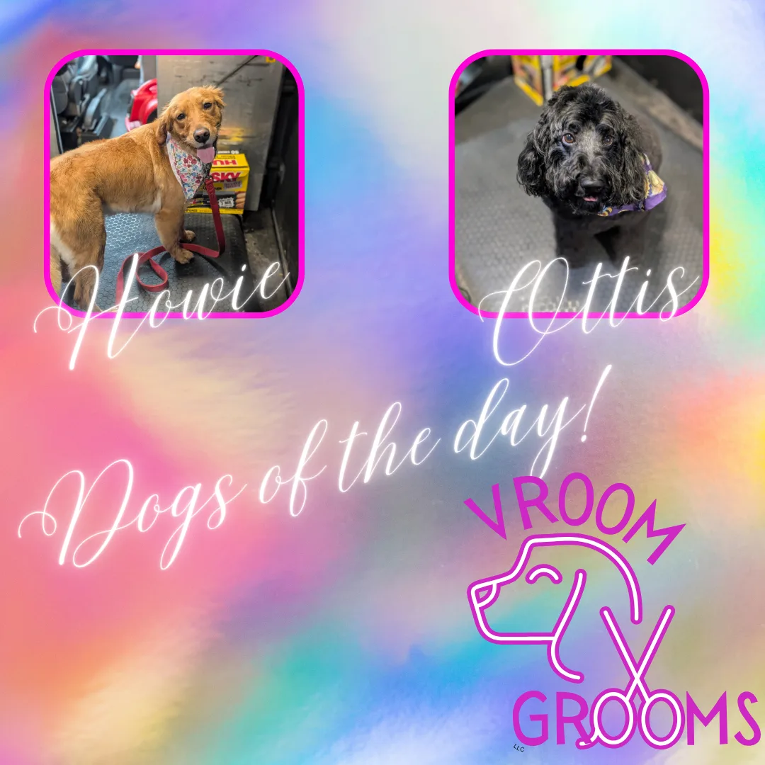 Dogs of the day! 🐾🐶📸 5/22/2025