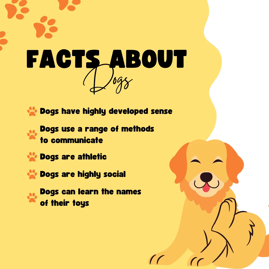🐶Facts about Dogs🐶