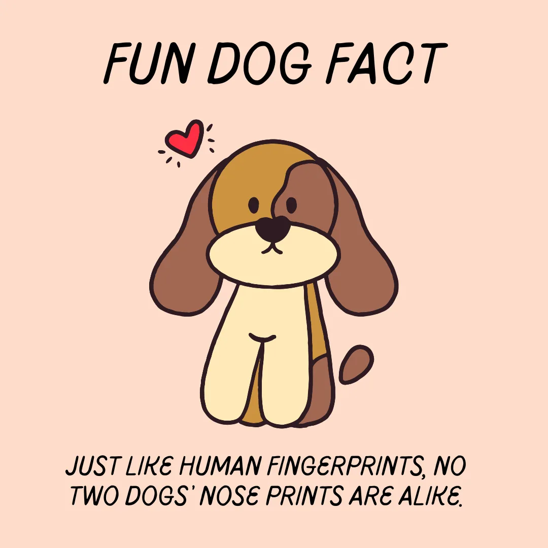 🐶Fun Dog Fact🐶