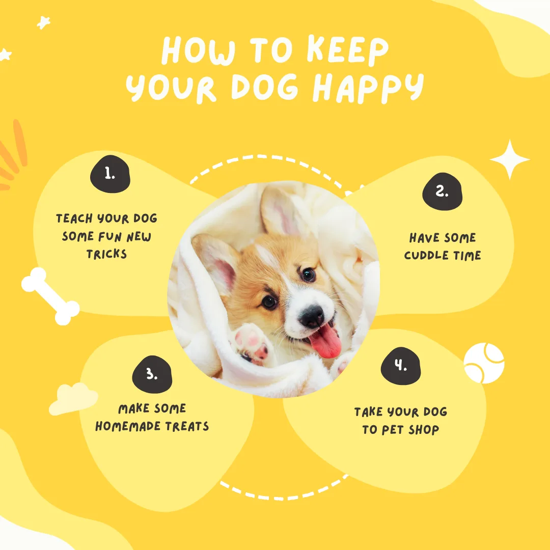 🐶🐾How to keep your dog happy🐾🐶