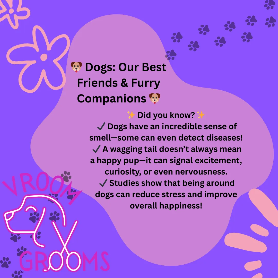 🐶 Dogs: Our Best Friends & Furry Companions 🐶