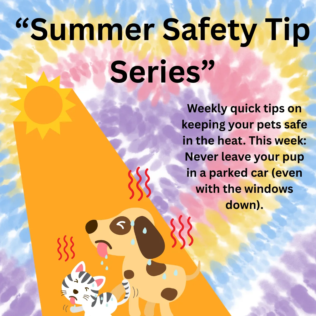 “Summer Safety Tip Series”