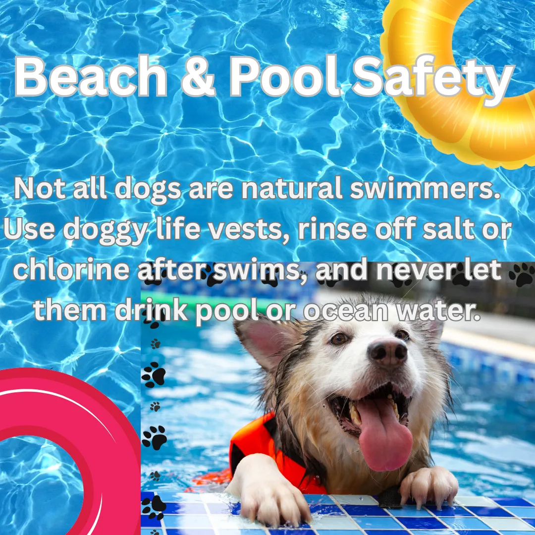 🏖️ Beach & Pool Safety