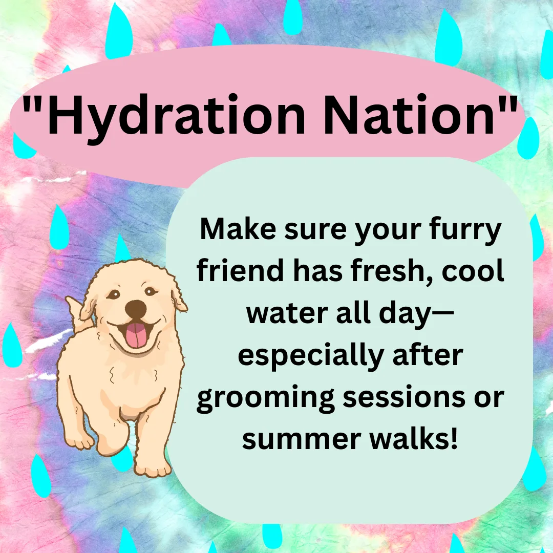 “Hydration Nation”