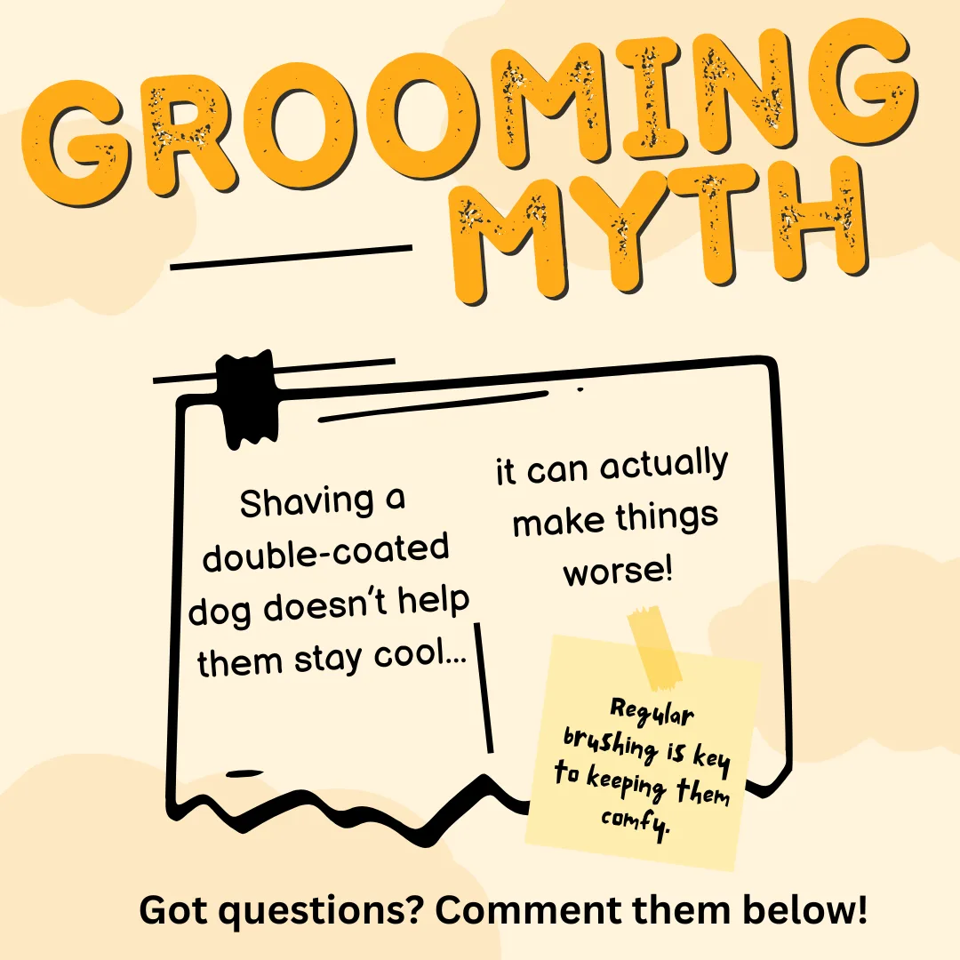 Did you know?