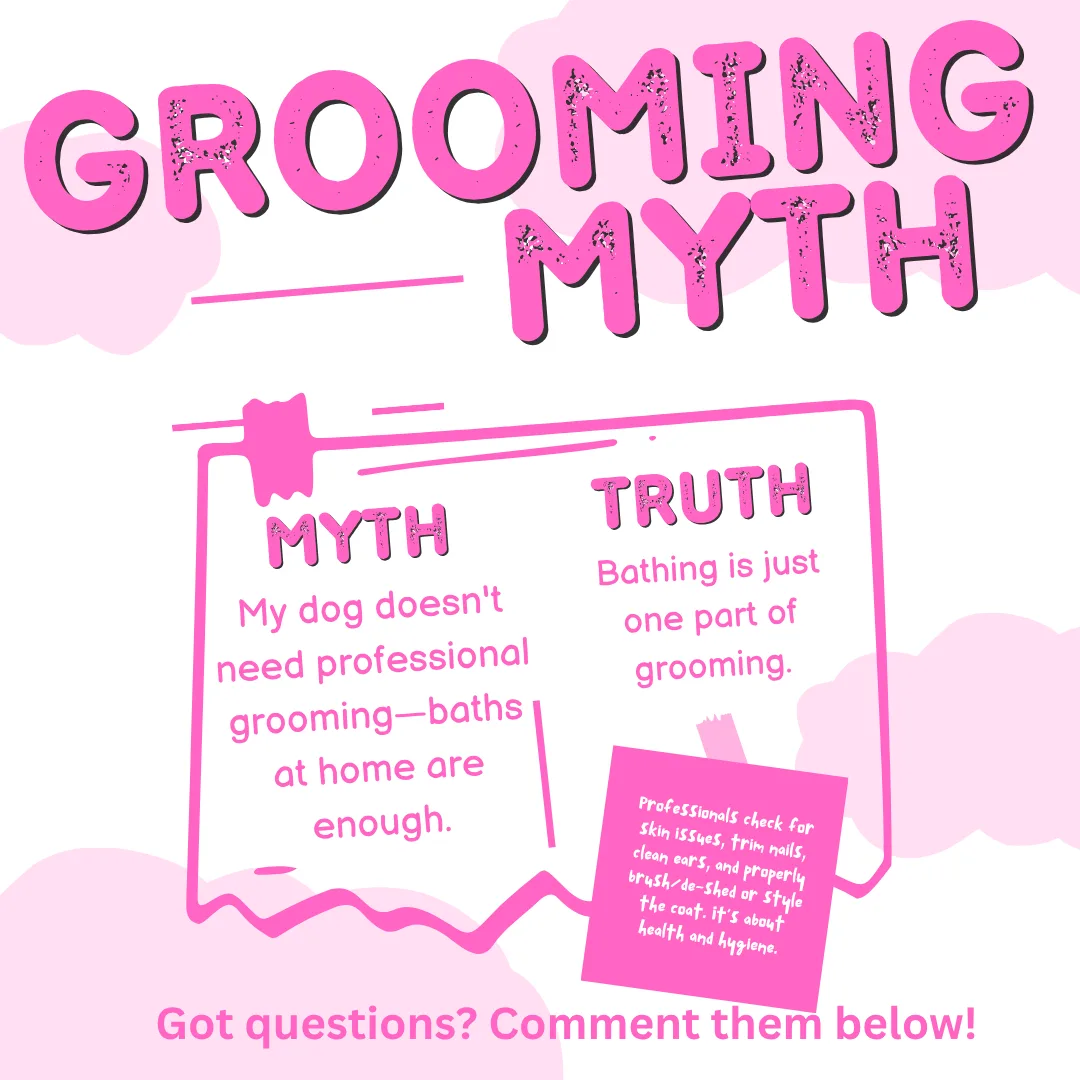 ❌ Myth #12: “My dog doesn’t need professional grooming—baths at home are enough.”