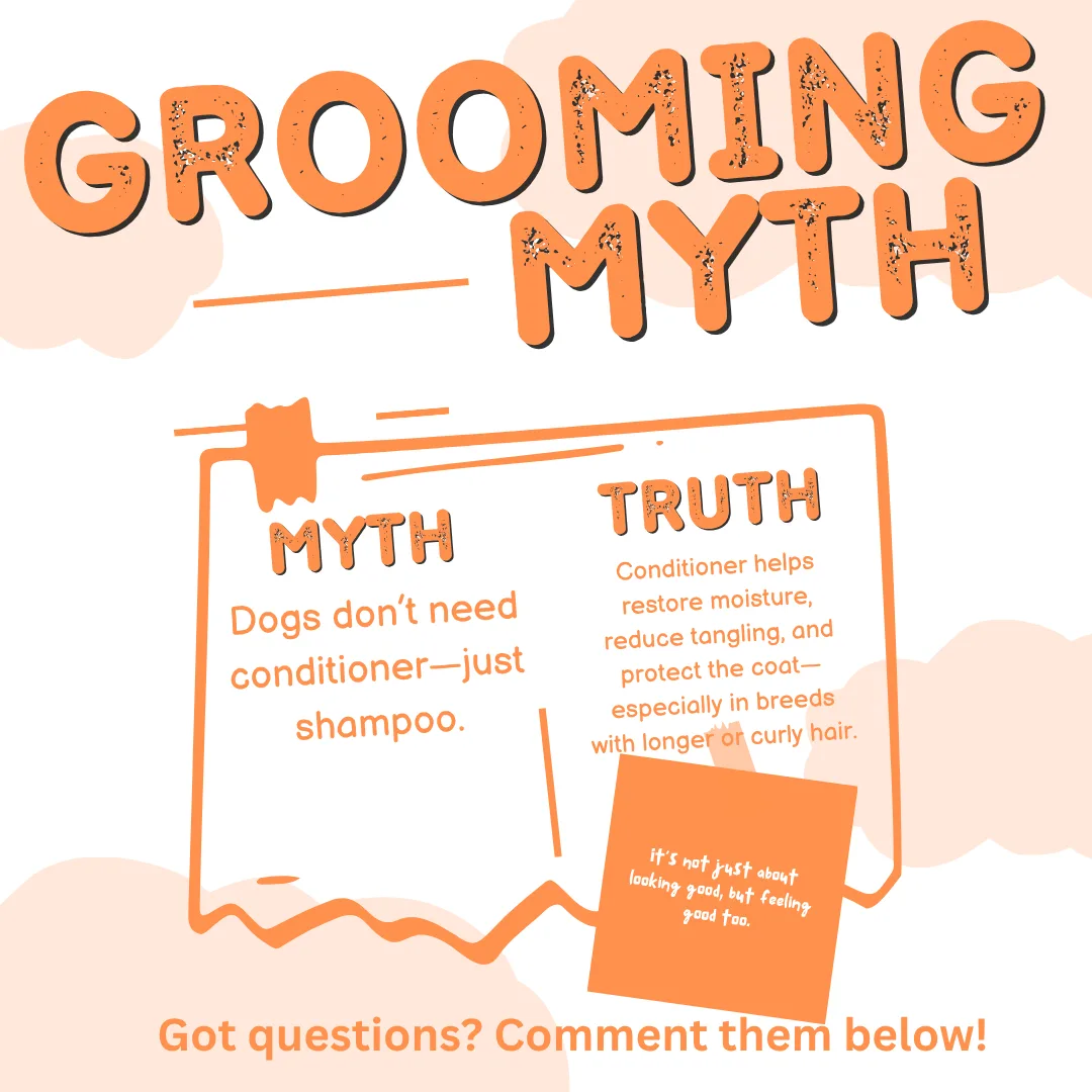 ❌ Myth: “Dogs don’t need conditioner—just shampoo.”