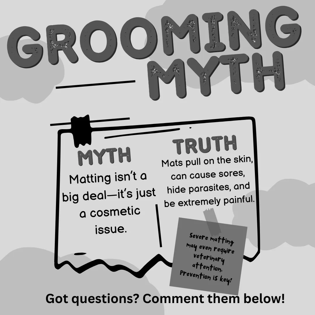 ❌ Myth #8: “Matting isn’t a big deal—it’s just a cosmetic issue.”