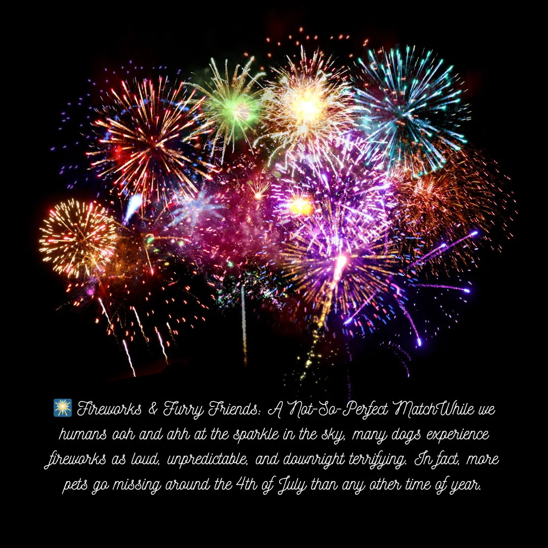 🎆 Fireworks & Furry Friends: A Not-So-Perfect Match While we humans ooh and ahh at the sparkle in the sky, many dogs experience fireworks as loud, unpredictable, and downright terrifying. In fact, more pets go missing around the 4th of July than any other time of year.